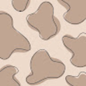 Meet your Posher, Josie